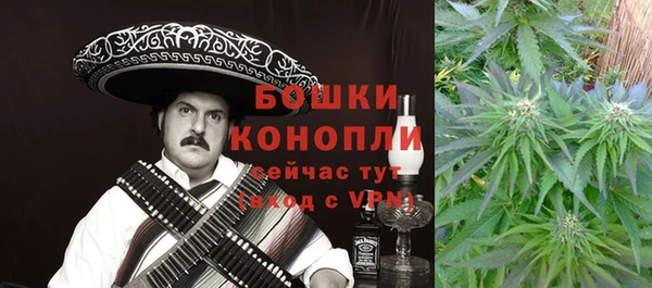 молекула духа Балахна