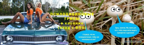 спайс Баксан