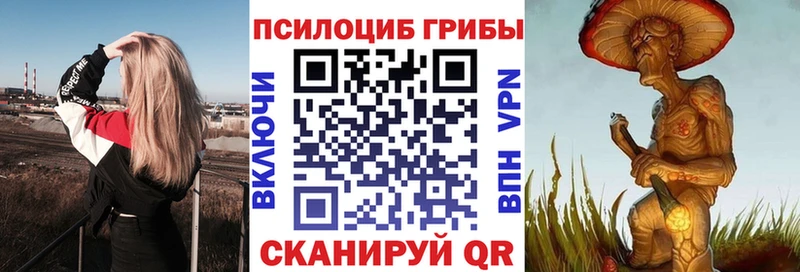 Псилоцибиновые грибы прущие грибы  Берёзовский 